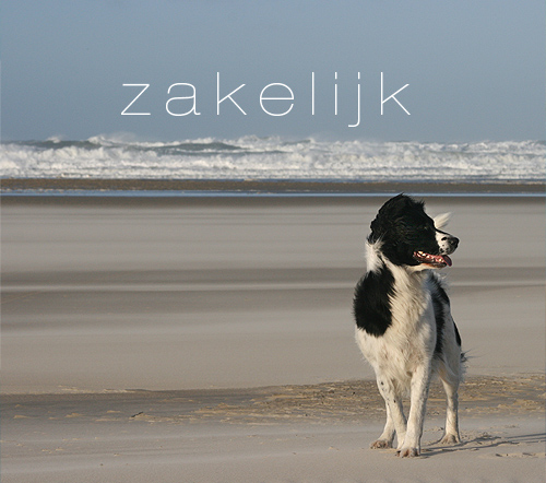 zakelijke trainingen en coaching.